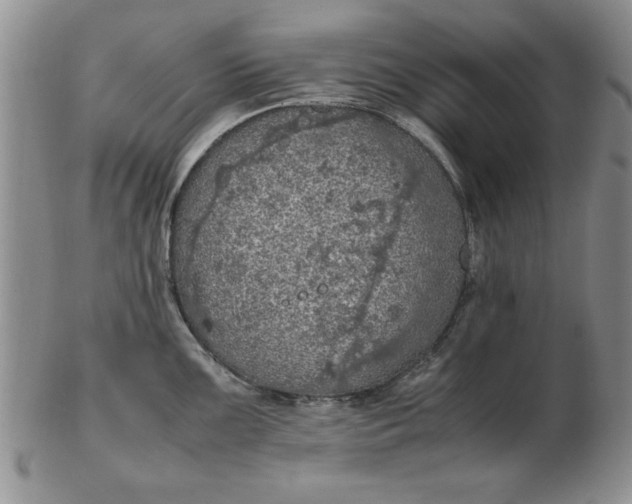 X0000103141099200809051609