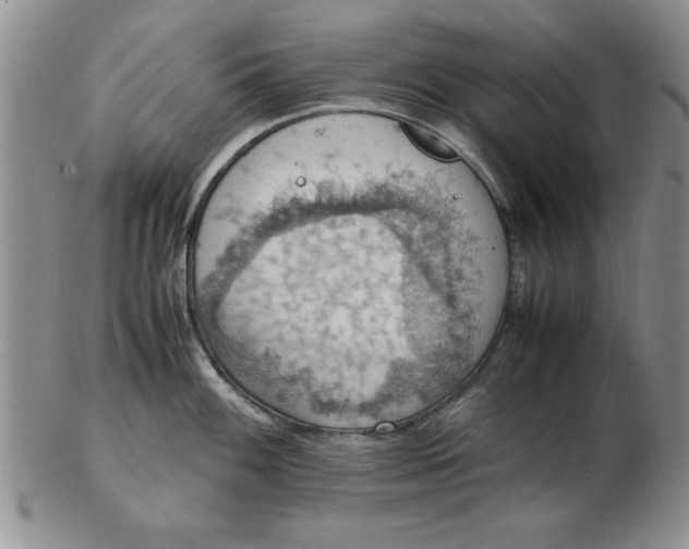 X0000103141100200809051609