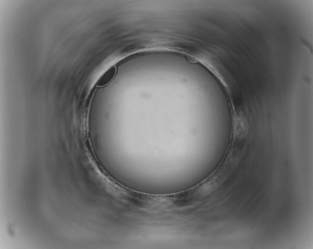 X0000103141101200809051609