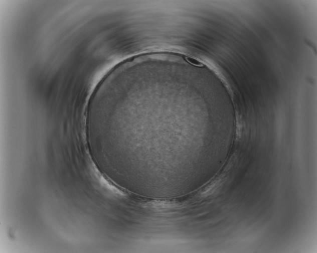 X0000103141102200809051608