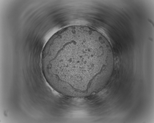 X0000103141103200809051608