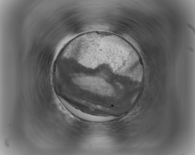 X0000103141104200809051608