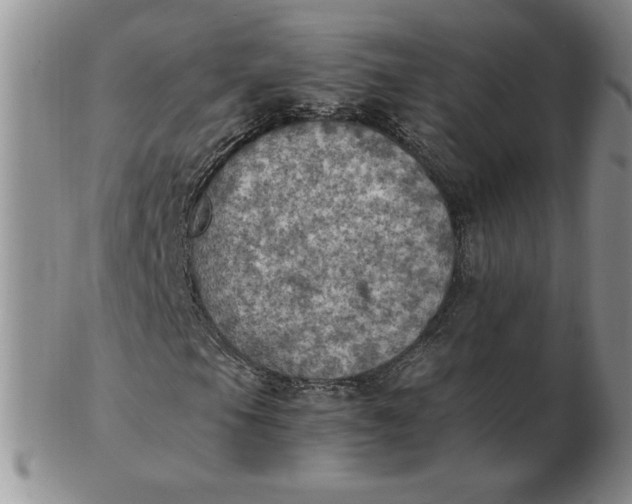 X0000103141105200809051608