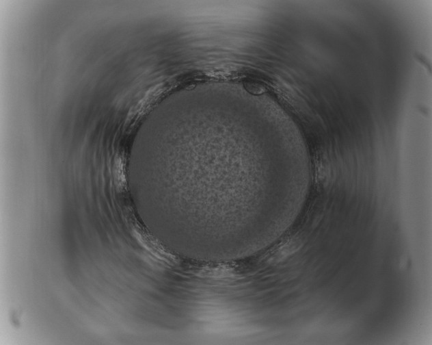 X0000103141106200809051608