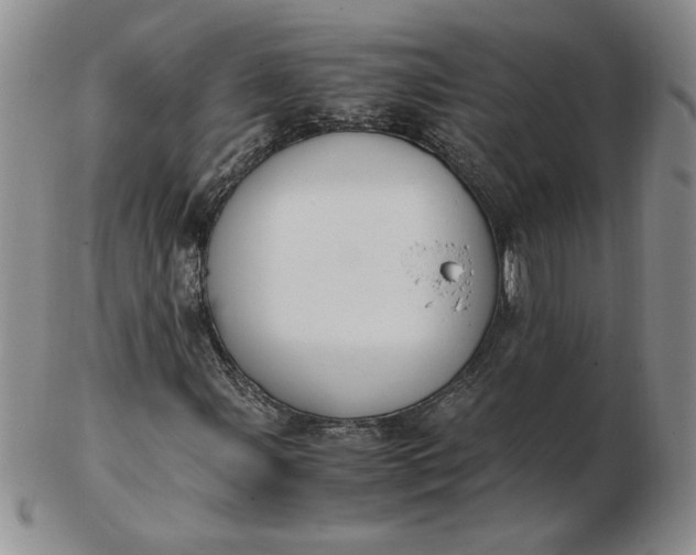 X0000103141107200809051608