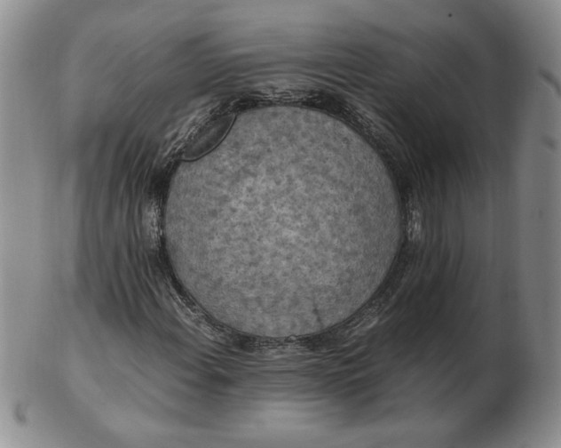 X0000103141108200809051608