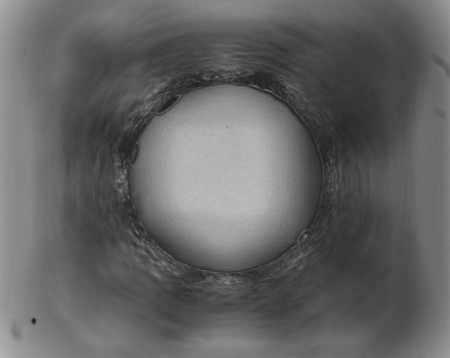 X0000103141109200809051608