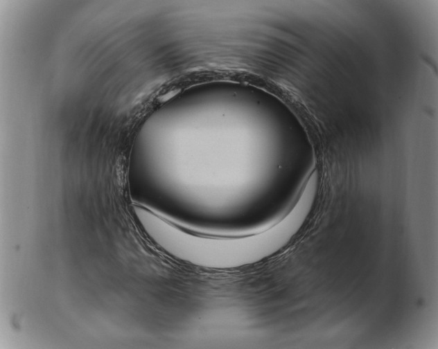 X0000103141110200809051608