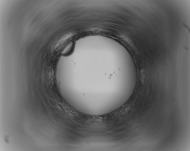 X0000103141111200809051608