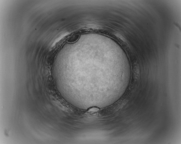 X0000103141112200809051608