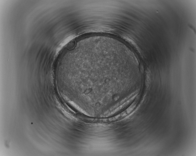 X0000103141114200809051608