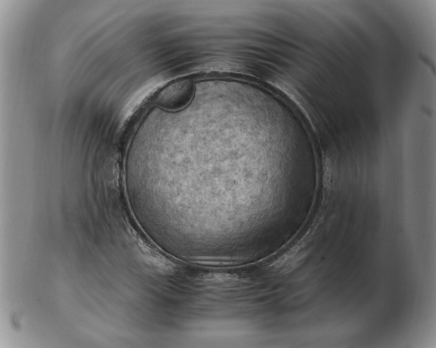 X0000103141115200809051608