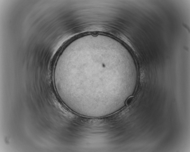 X0000103141116200809051608