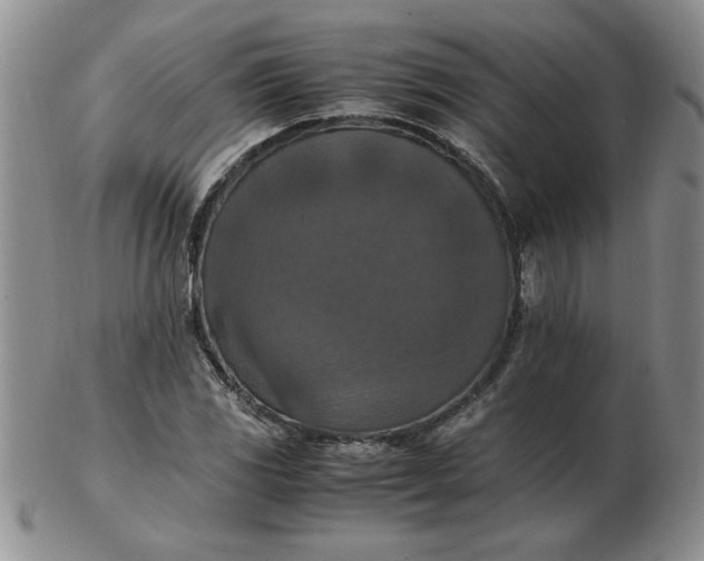 X0000103141117200809051608