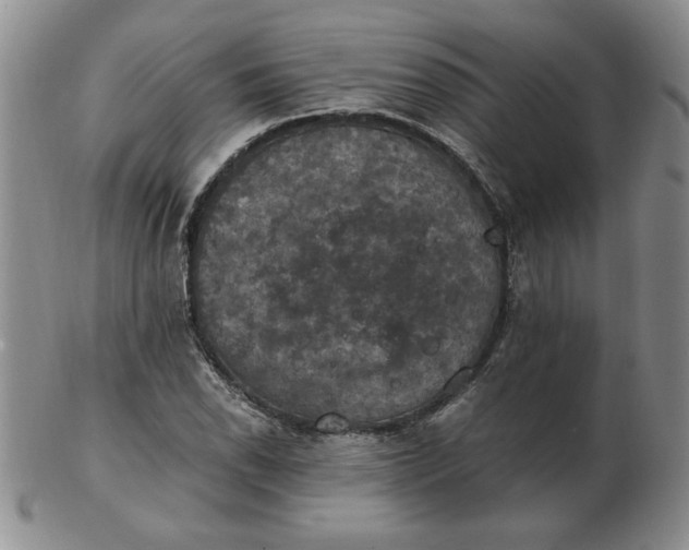 X0000103141118200809051608