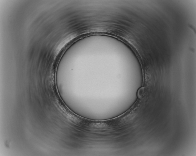 X0000103141119200809051608