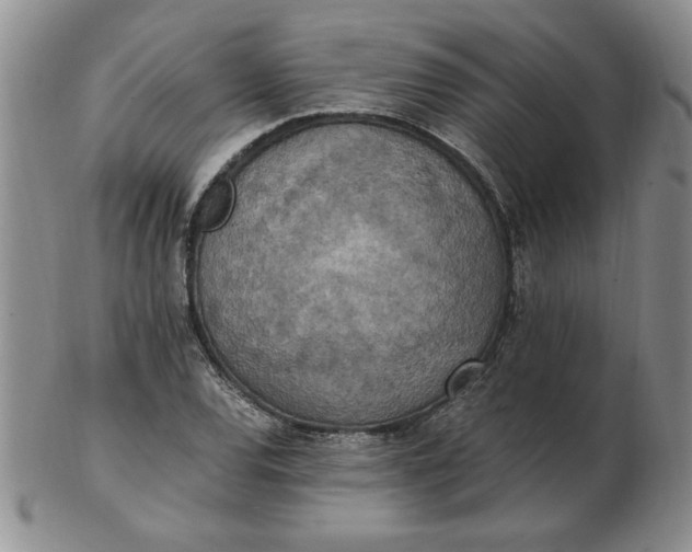 X0000103141120200809051608