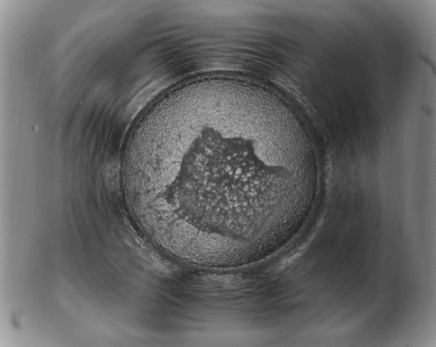 X0000103141121200809051608