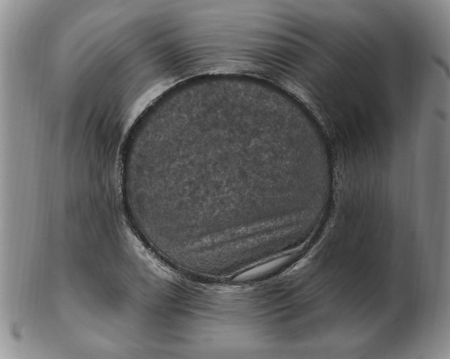 X0000103141122200809051608