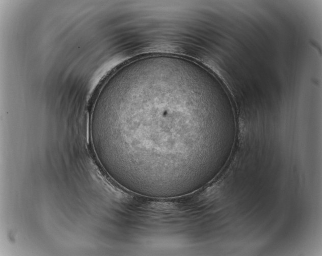 X0000103141123200809051608