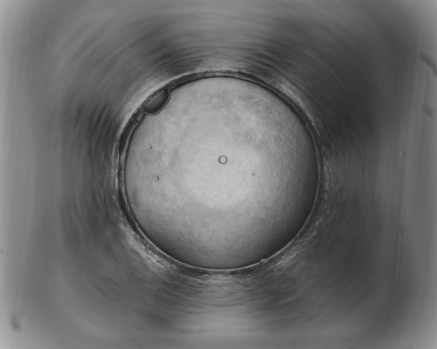 X0000103141124200809051608