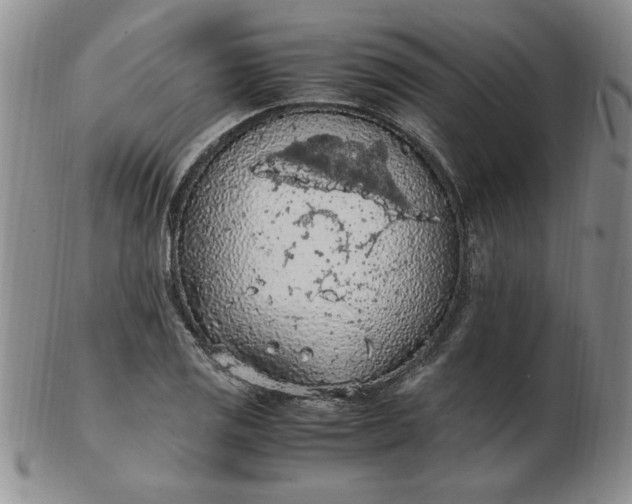 X0000103141125200809051608