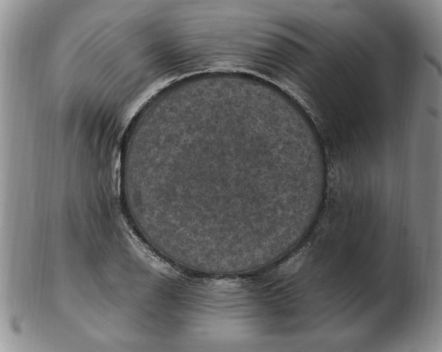 X0000103141126200809051608