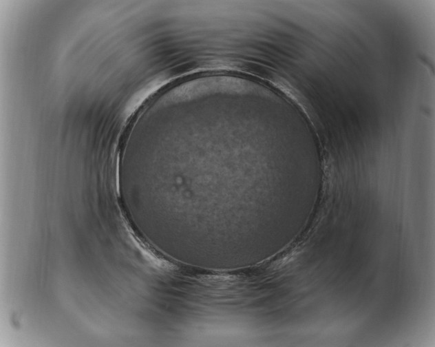 X0000103141127200809051608