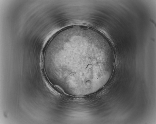 X0000103141128200809051608