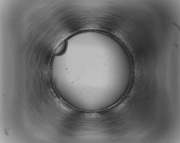 X0000103141129200809051608