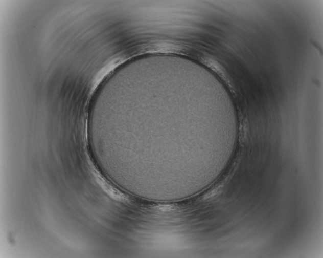 X0000103141130200809051608