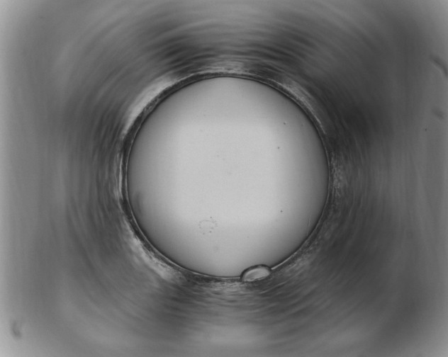 X0000103141131200809051608