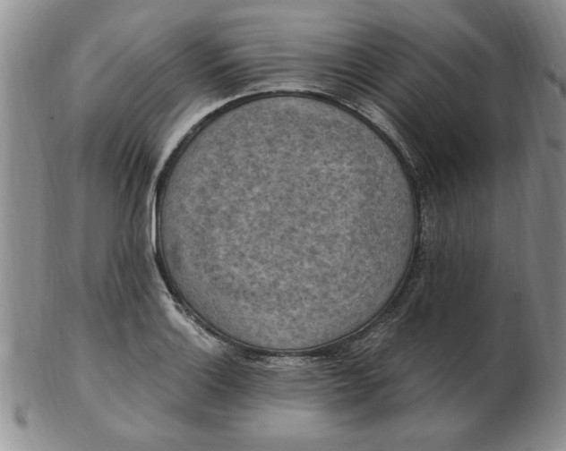 X0000103141132200809051608