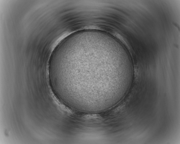 X0000103141133200809051608