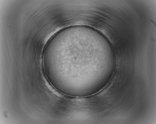 X0000103141134200809051608