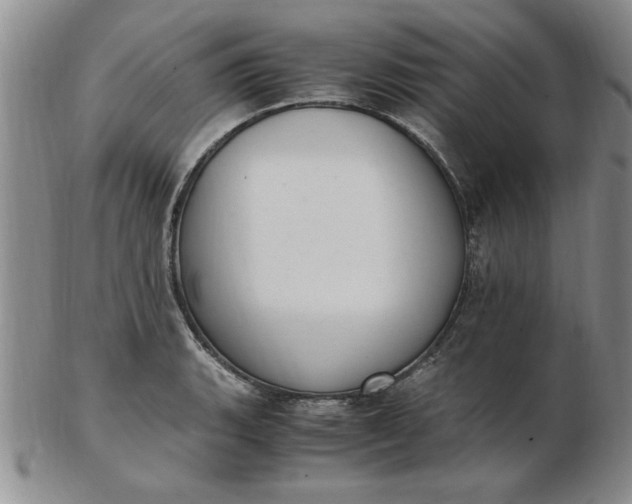 X0000103141135200809051608