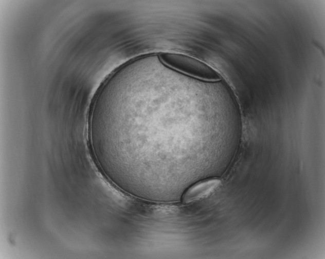 X0000103141136200809051608