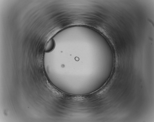 X0000103141137200809051608