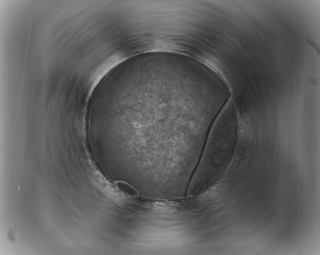 X0000103141138200809051608