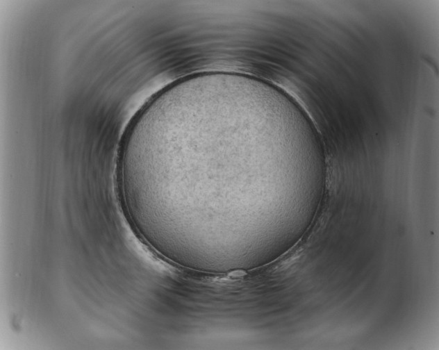 X0000103141139200809051608