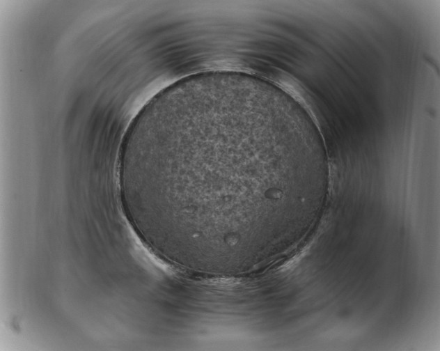 X0000103141141200809051608