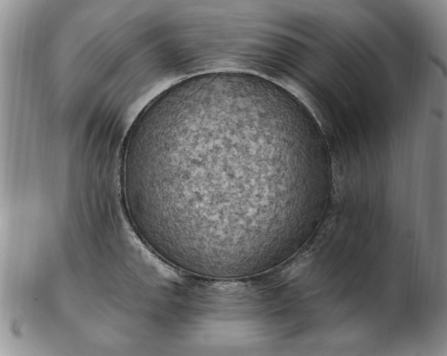 X0000103141142200809051608