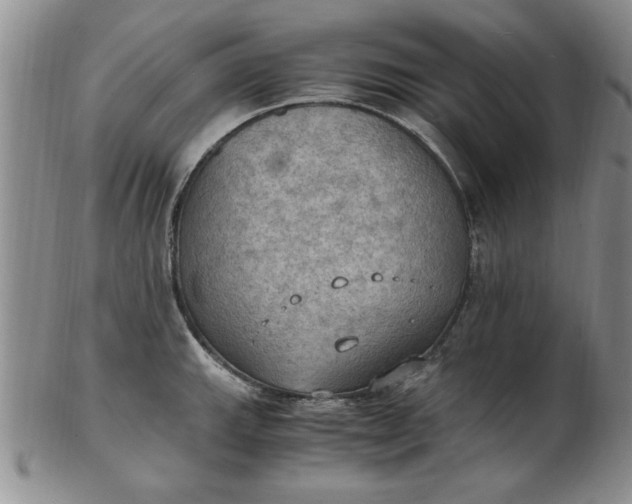 X0000103141143200809051608