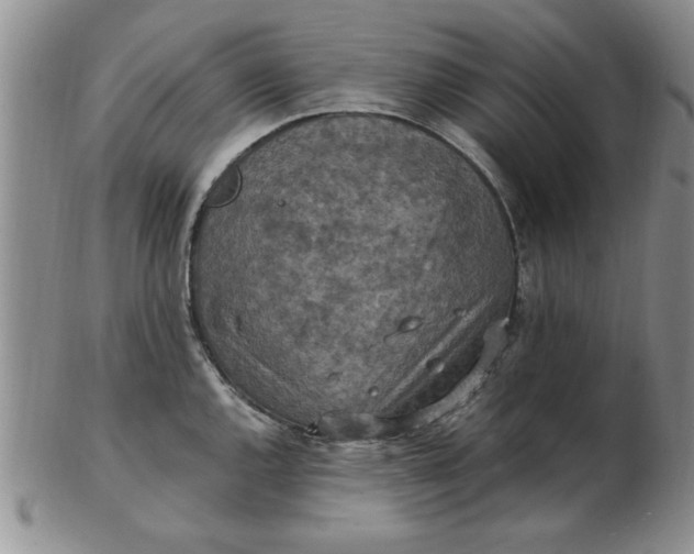 X0000103141144200809051608