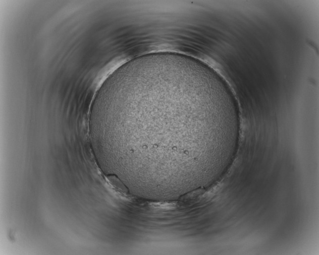 X0000103141145200809051608