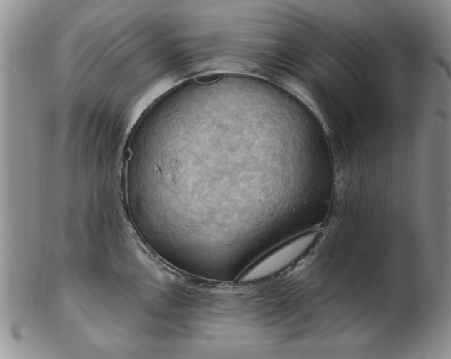 X0000103141146200809051608