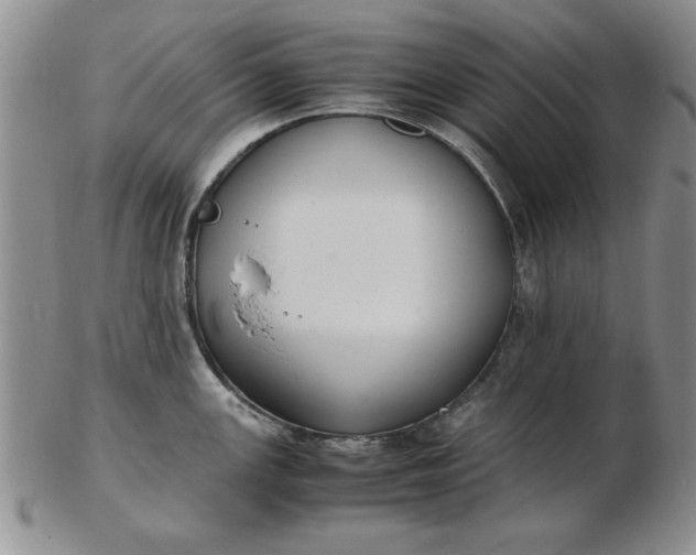 X0000103141147200809051608