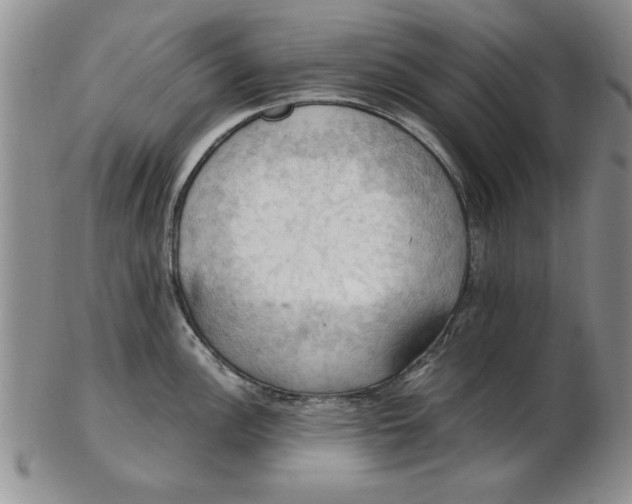 X0000103141148200809051608