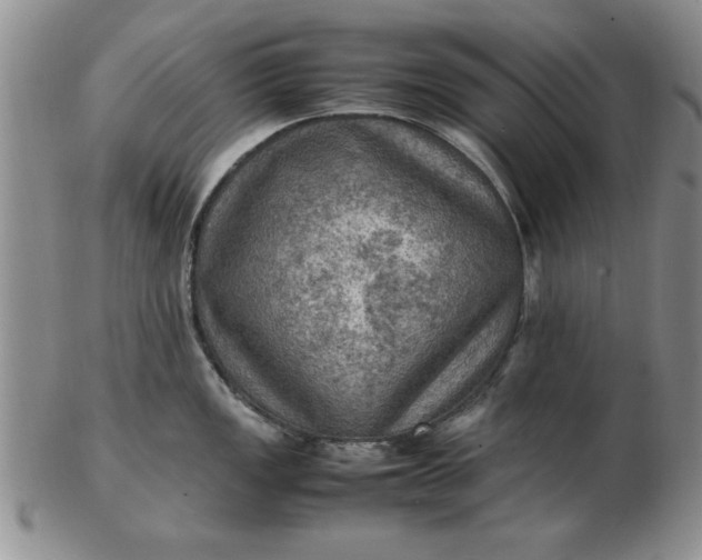 X0000103141149200809051608