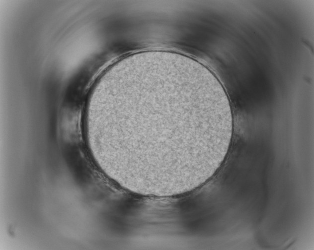 X0000103141150200809051608